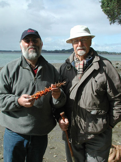  Guillermo "Willy" Kuschel y Juan E. Barriga-Tuñón Auckland NZ (ago 2004)