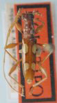  Compsibidion ybyra